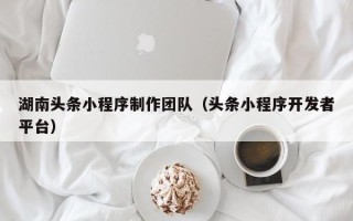 阜新湖南头条小程序制作团队（头条小程序开发者平台）