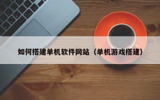 阜新如何搭建单机软件网站（单机游戏搭建）